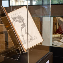 Books in Body of knowledge exhibition