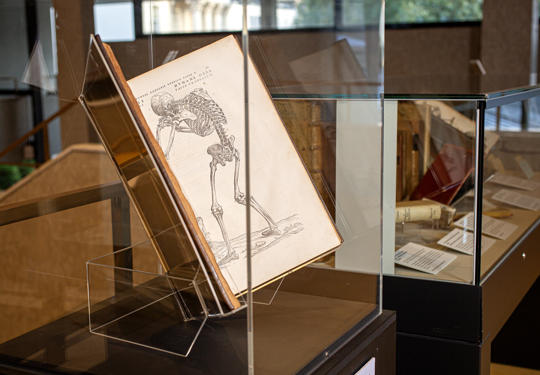 Books in Body of knowledge exhibition