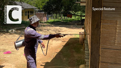 Mosquito Spraying
