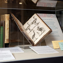Image of books in the Body of Knowledge exhibition
