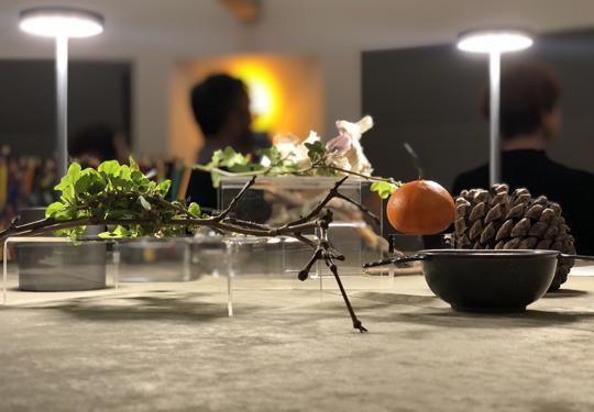 Collection of plants and medical objects on display on a table.