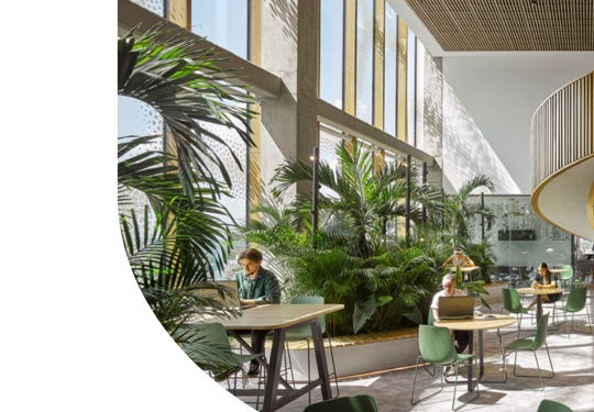 Environment Image (1)