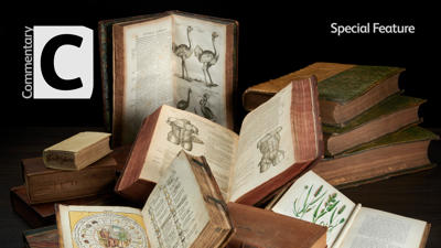 A Body Of Knowledge Web Design