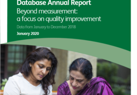 FLS Database Annual Report 2020 0